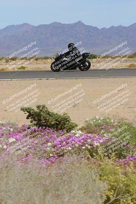 media/Mar-12-2023-SoCal Trackdays (Sun) [[d4c8249724]]/Turn 15 Inside Bloom (130pm)/